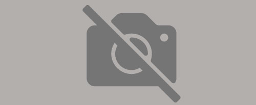 Vetweb